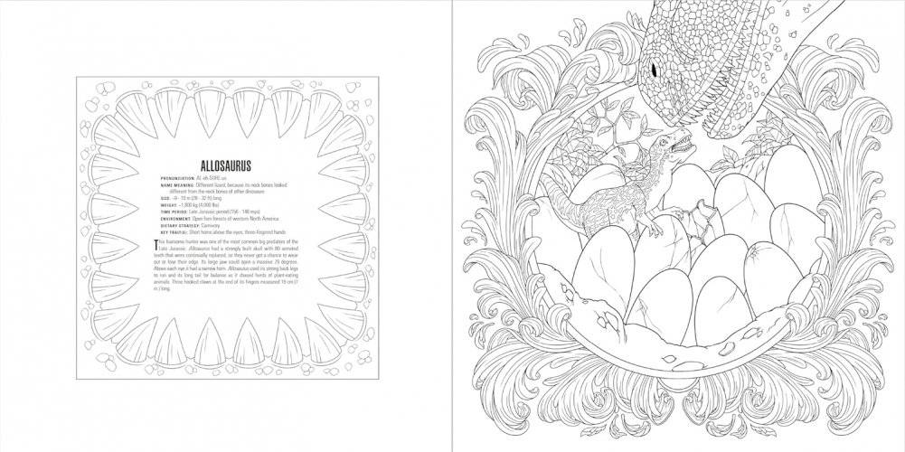 Animals Coloring Book Box Set фото книги 2