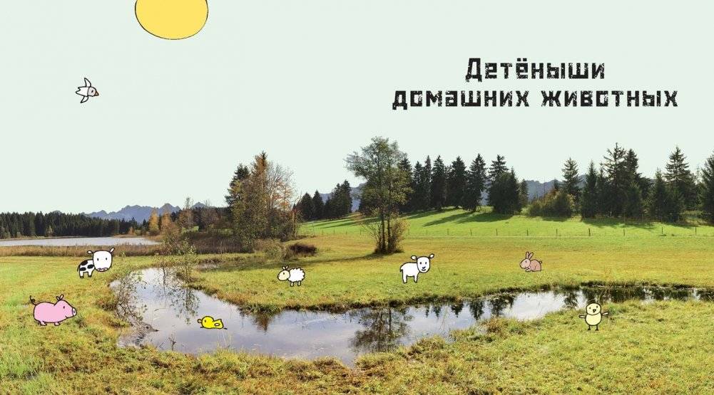 Это мой малыш! Детёныши разных животных фото книги 3