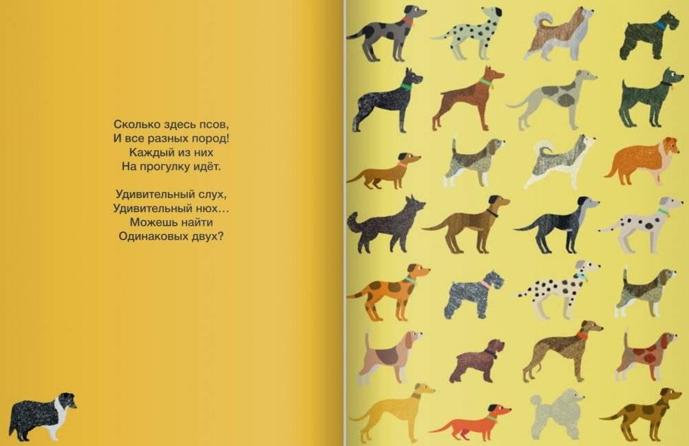 Где здесь пара? Книжка для наблюдательных ребят фото книги 6