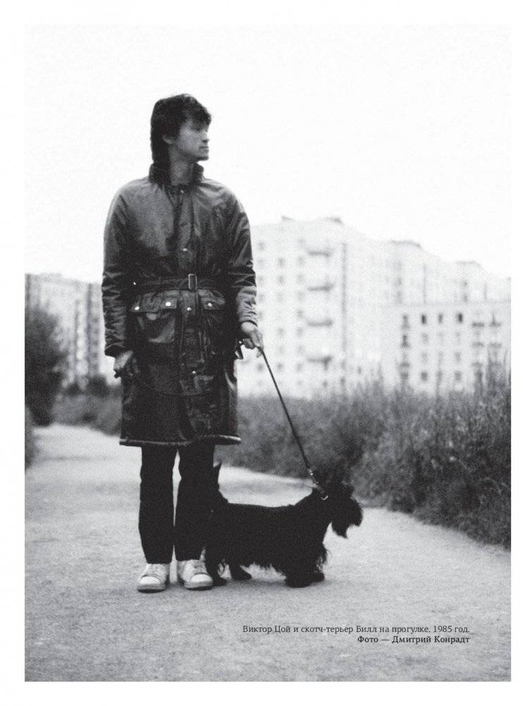 Виктор Цой. Подлинные черновики. Песни, рукописи, рисунки. Памятный альбом фото книги 11