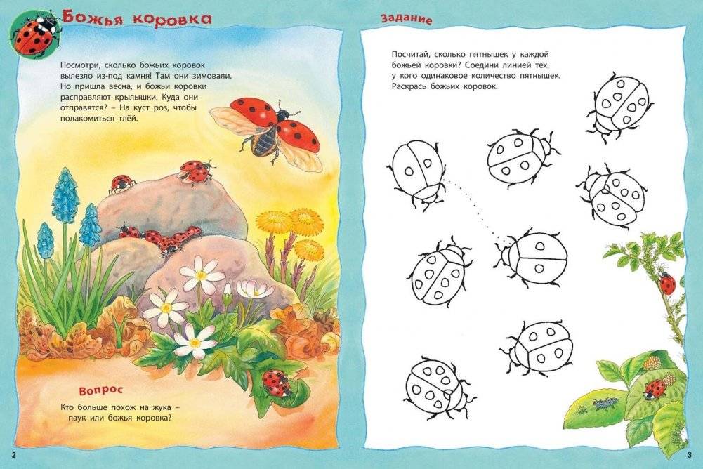 Кто живёт на лугу? Книжка-активити с развивающими заданиями, головоломками, наклейками фото книги 2