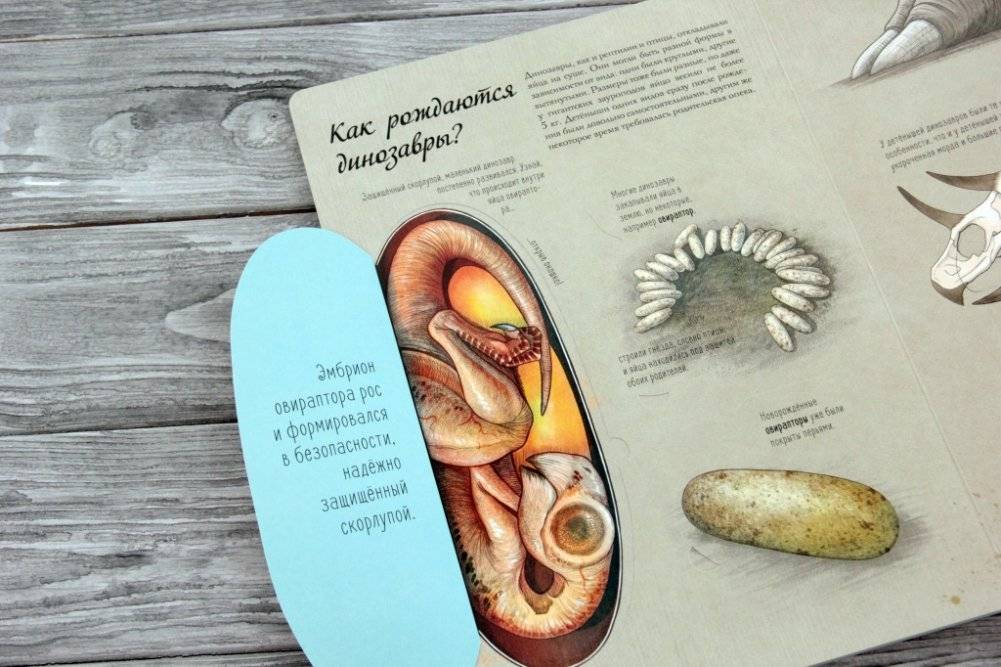 В мире динозавров. Книжка с окошками фото книги 5