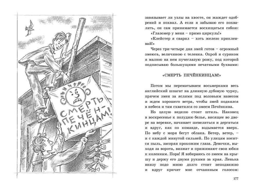 Серебряный герб фото книги 6