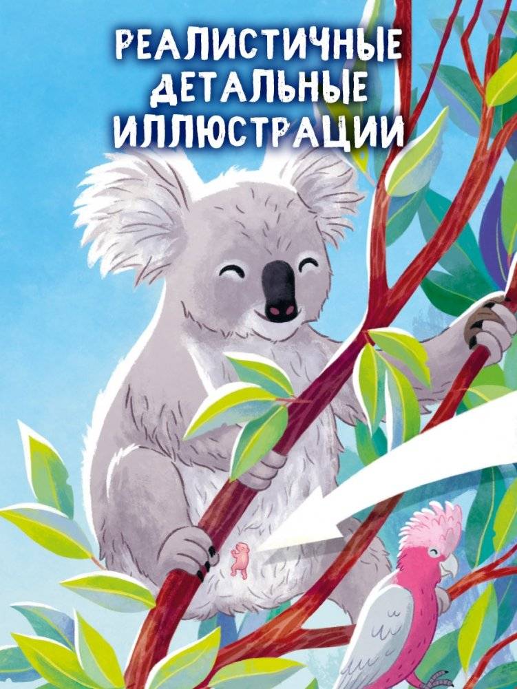 Маленький коала. Приключения в эвкалиптовом лесу фото книги 4