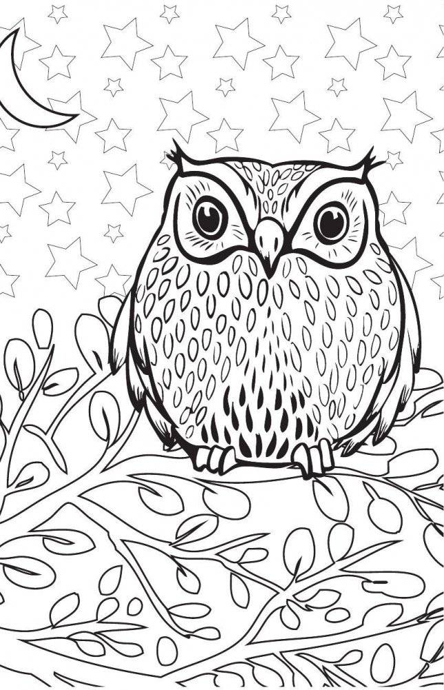 Удивительные животные. Мини-раскраска-антистресс для творчества и вдохновения фото книги 8