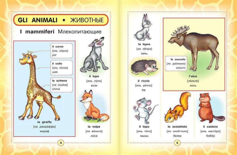 Итальянско-русский визуальный словарь для детей фото книги 4
