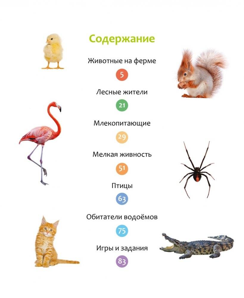 Животные разных стран фото книги 2