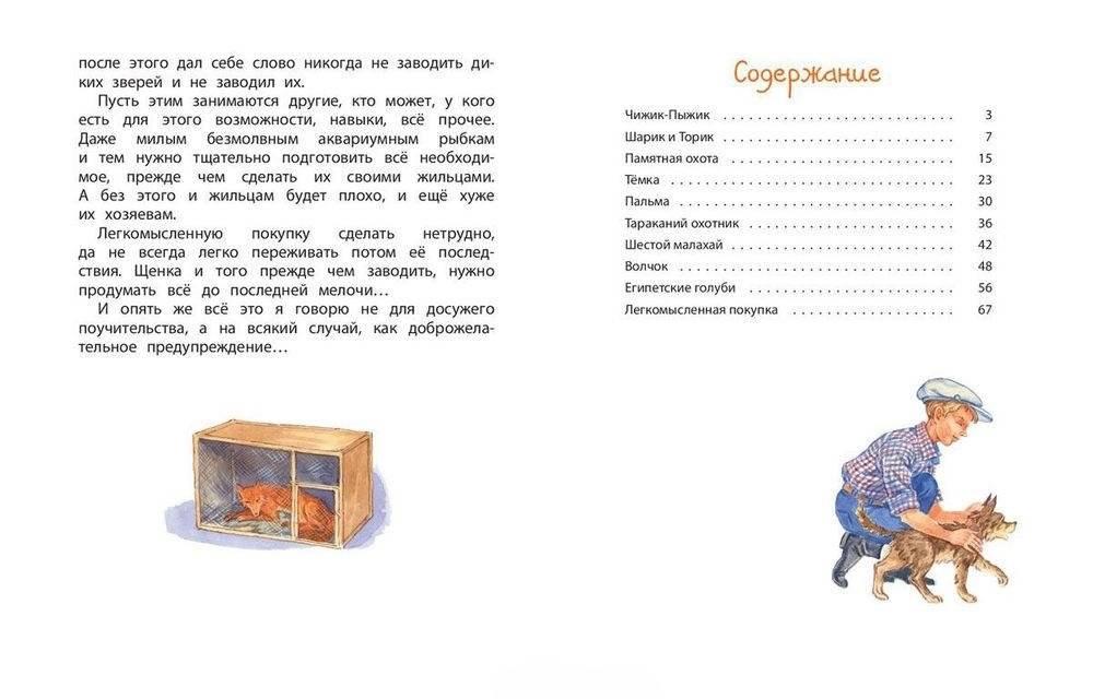 Чижик-Пыжик. Рассказы фото книги 7