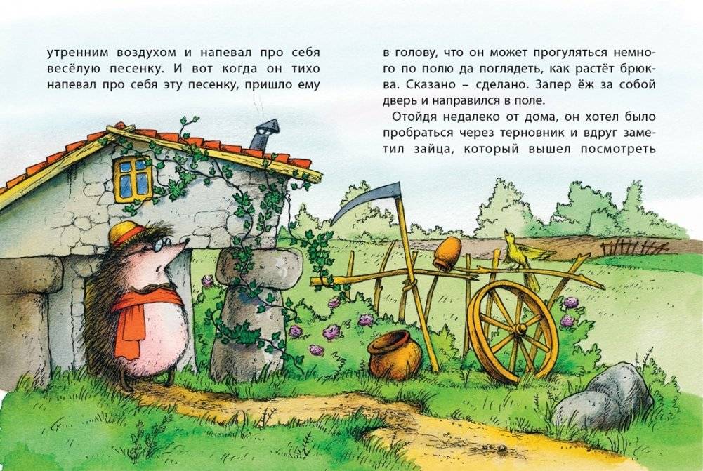 Заяц и ёж фото книги 2