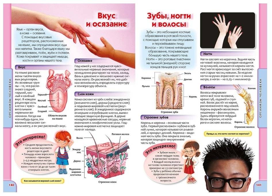 Детская энциклопедия в вопросах и ответах фото книги 7