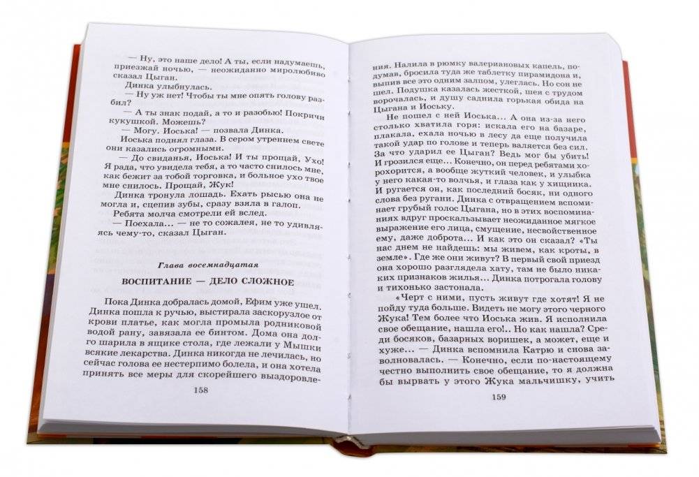 Динка прощается с детством фото книги 3