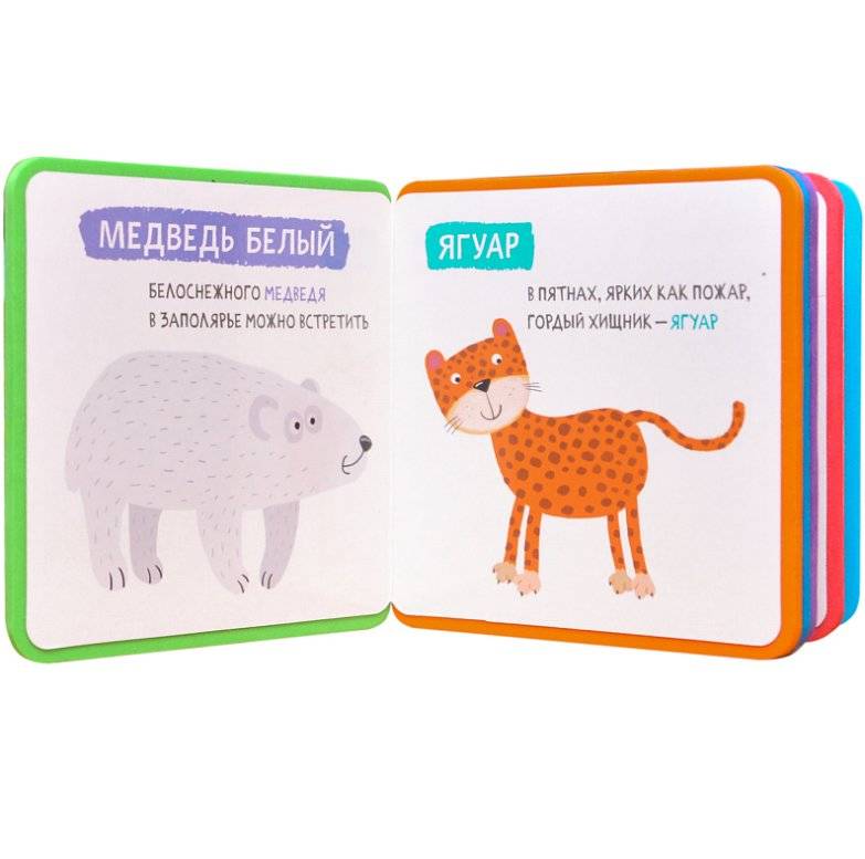 Разноцветный зоопарк. Коала фото книги 2