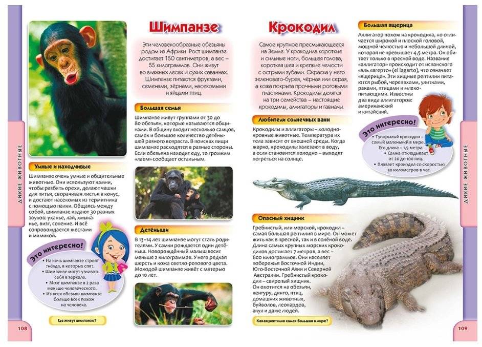 Детская энциклопедия в вопросах и ответах фото книги 6