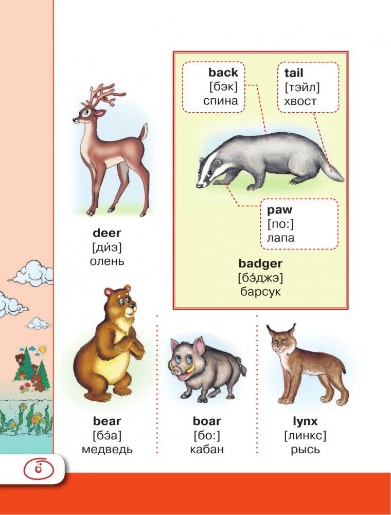 Английский визуальный словарь с произношением фото книги 5