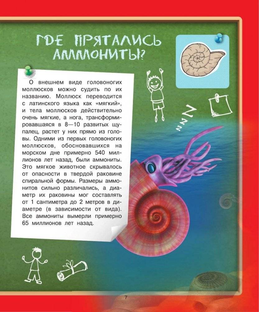Детская энциклопедия в вопросах и ответах. Где? Когда? Как? фото книги 10