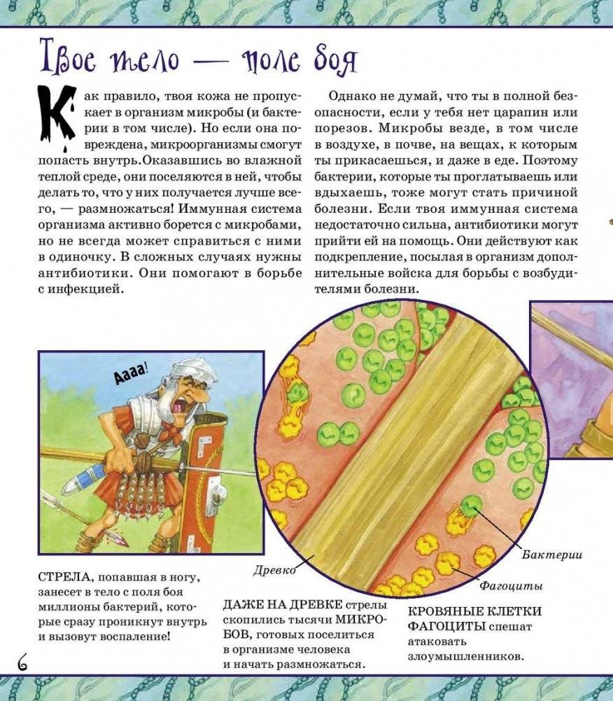 Зачем нам нужны антибиотики? фото книги 3