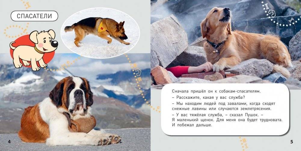 Какие бывают собаки? фото книги 3