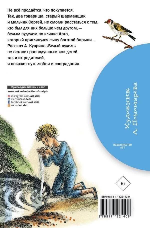 Белый пудель фото книги 2