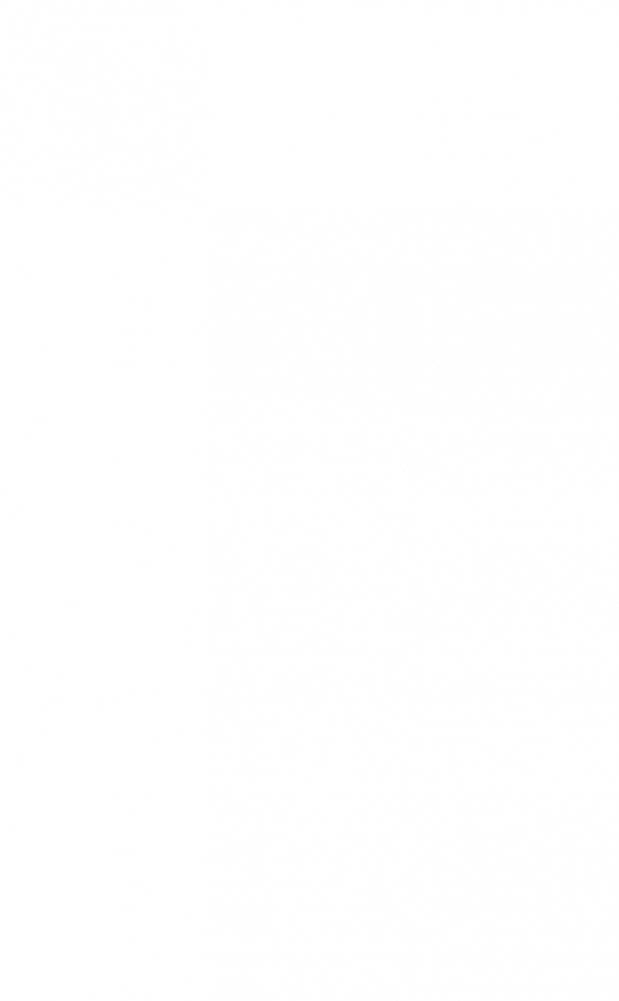 Ревизор фото книги 3