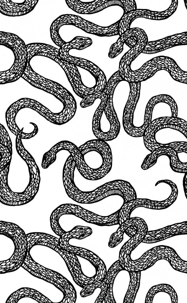 Вслед за змеями фото книги 2