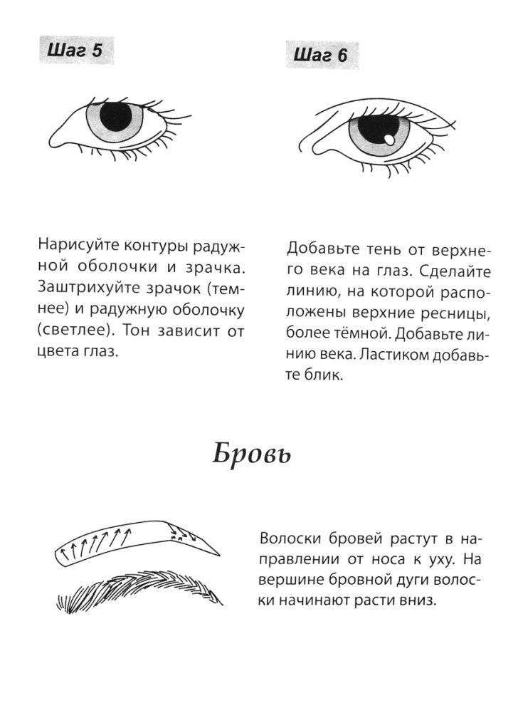Скетчбук А5 Уроки рисования по шагам. Анатомия человека фото книги 3