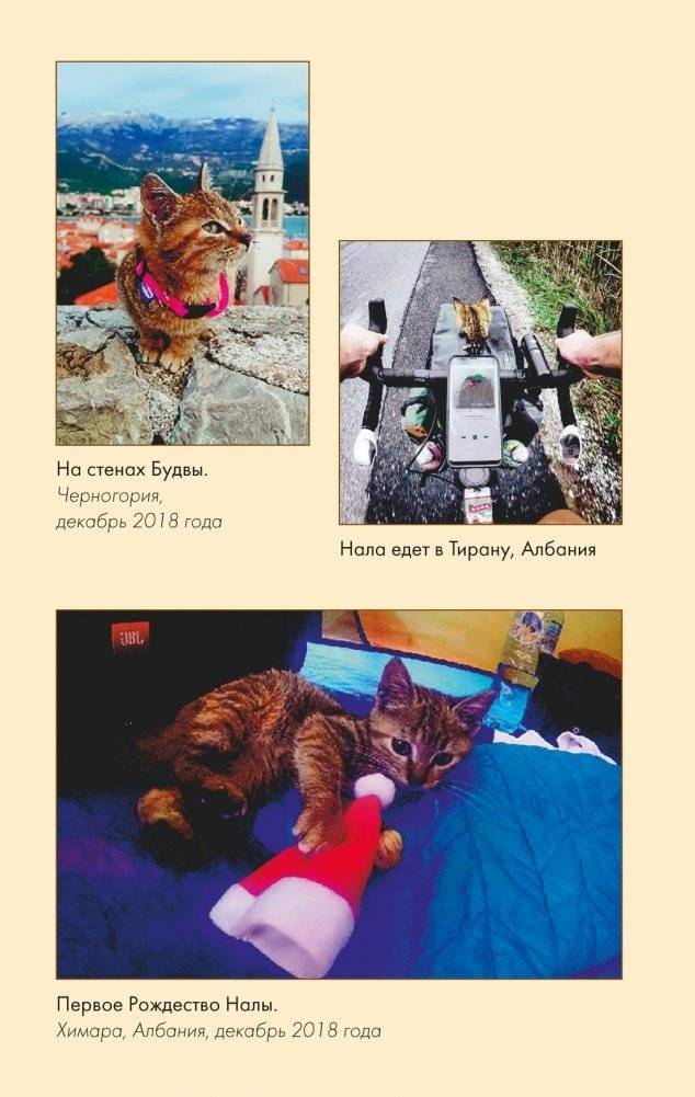 Мир Налы фото книги 3