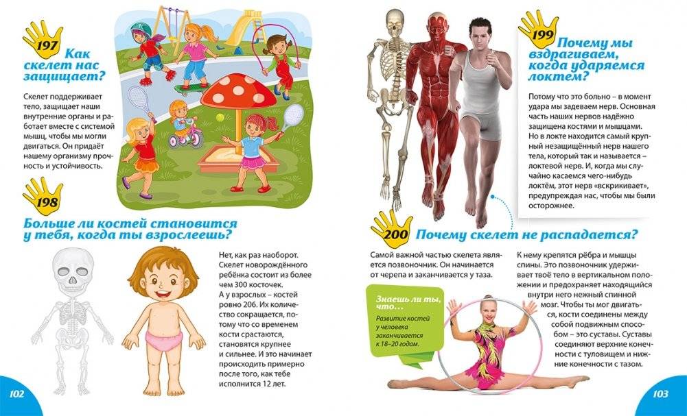 Как? Почему? Зачем? Новая книга вопросов и ответов фото книги 8