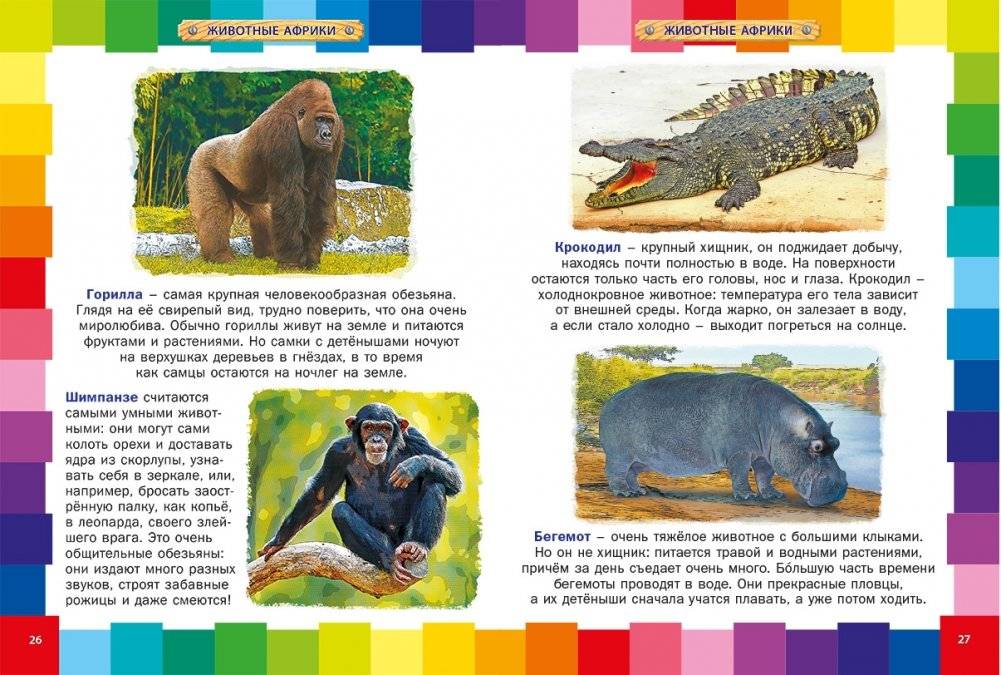 Животный мир для малышей. Детская энциклопедия фото книги 3