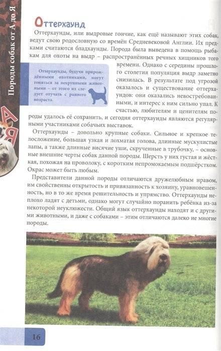 Породы собак от А до Я фото книги 5