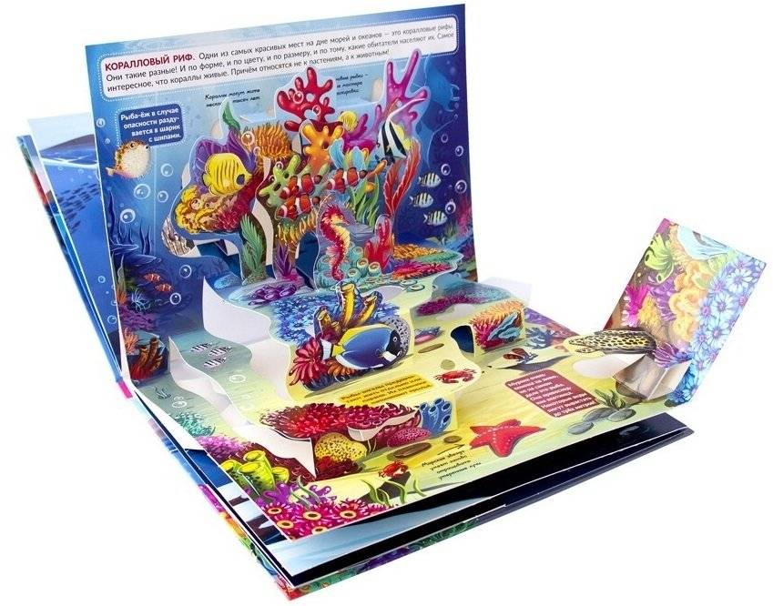 Живая планета. Моря и океаны. Книжка-панорамка фото книги 3