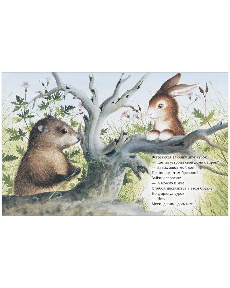Зайчик ищет дом фото книги 3