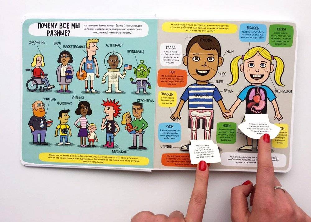 Удивительное тело (книжка с окошками) фото книги 3