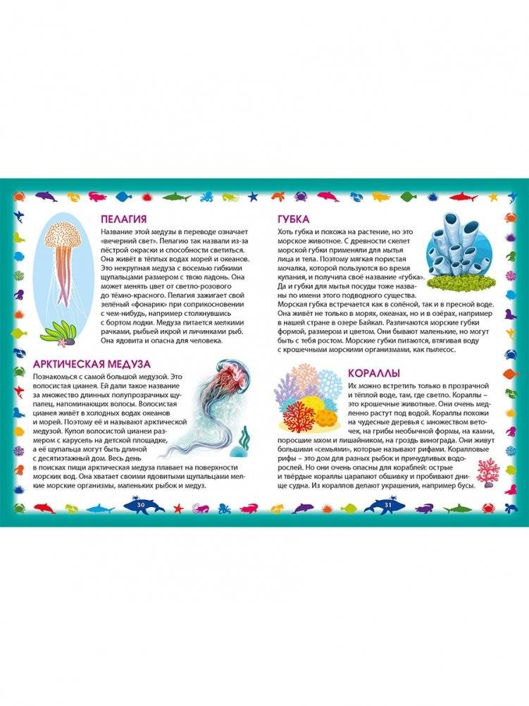 Морские обитатели. Первая энциклопедия для самых маленьких фото книги 8