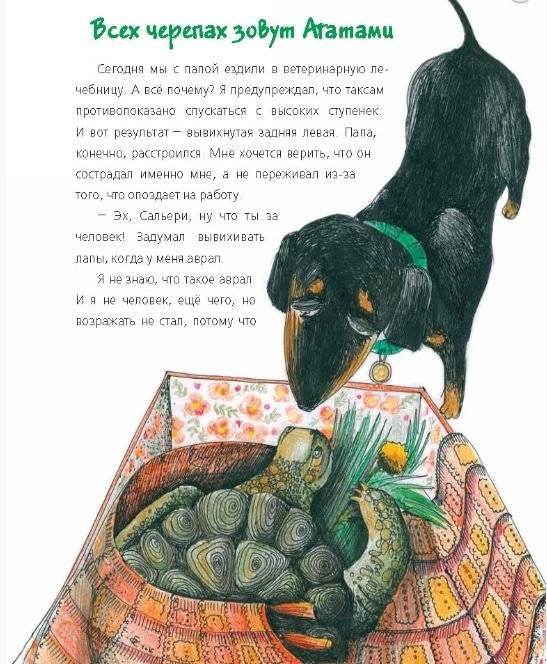 Мольер, Моцарт и Пикассо из лисьей норы фото книги 4