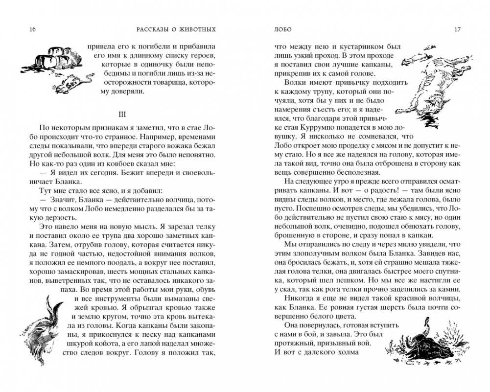 Рассказы о животных фото книги 3