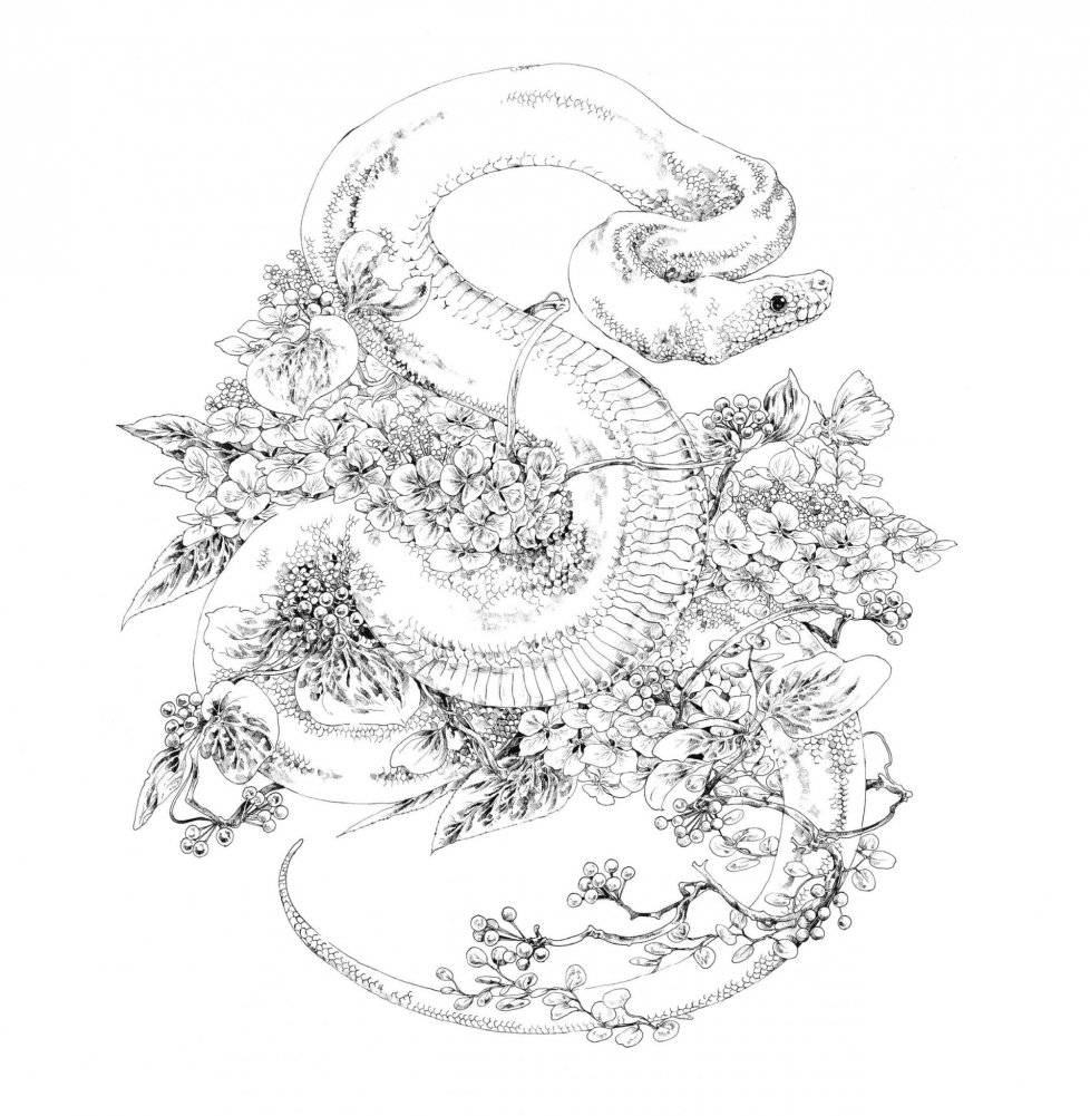 Скетчбук-раскраска. Мир поразительных существ Кэна Мацуды (желтая со слоном) фото книги 9