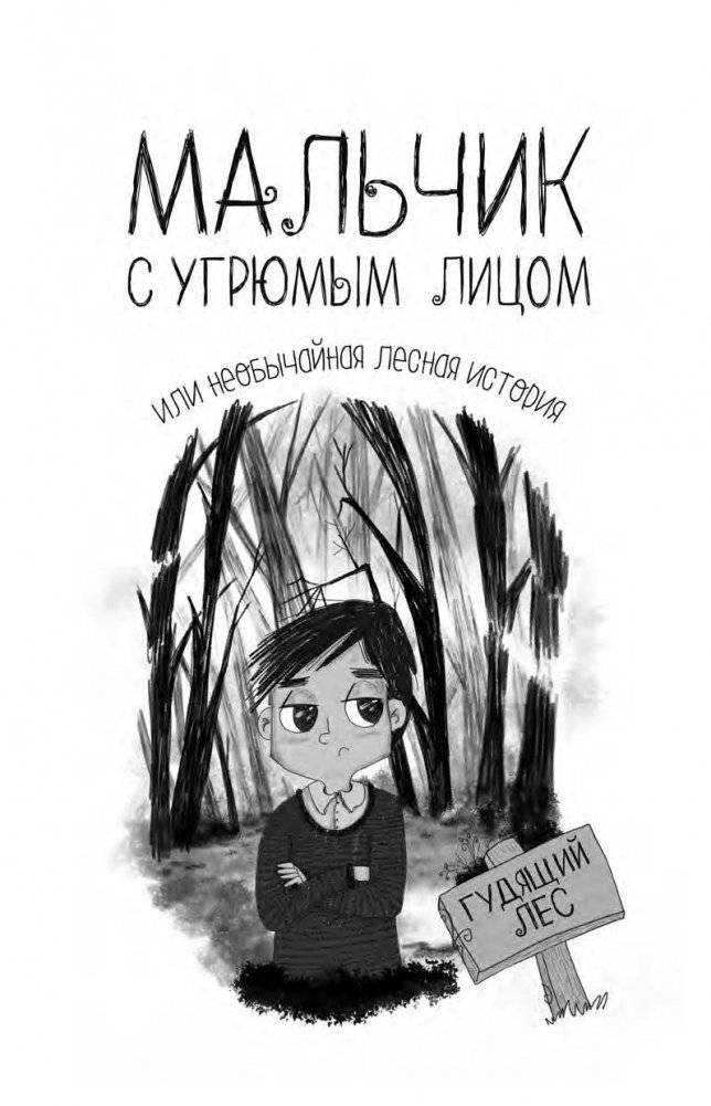 Мальчик с угрюмым лицом, или необычайная лесная история фото книги 5