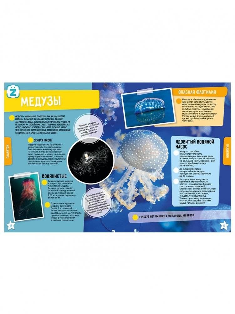 Океан. 250 невероятных фактов фото книги 2