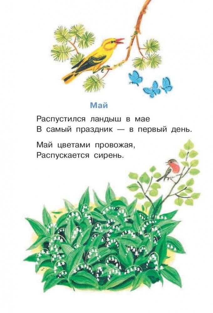 Разноцветные страницы фото книги 9