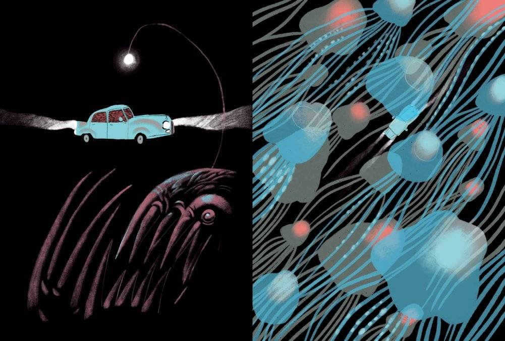 Голубая машинка фото книги 5