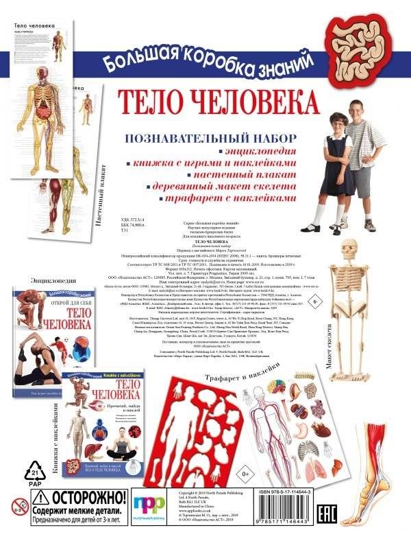 Тело человека. Познавательный набор фото книги 2