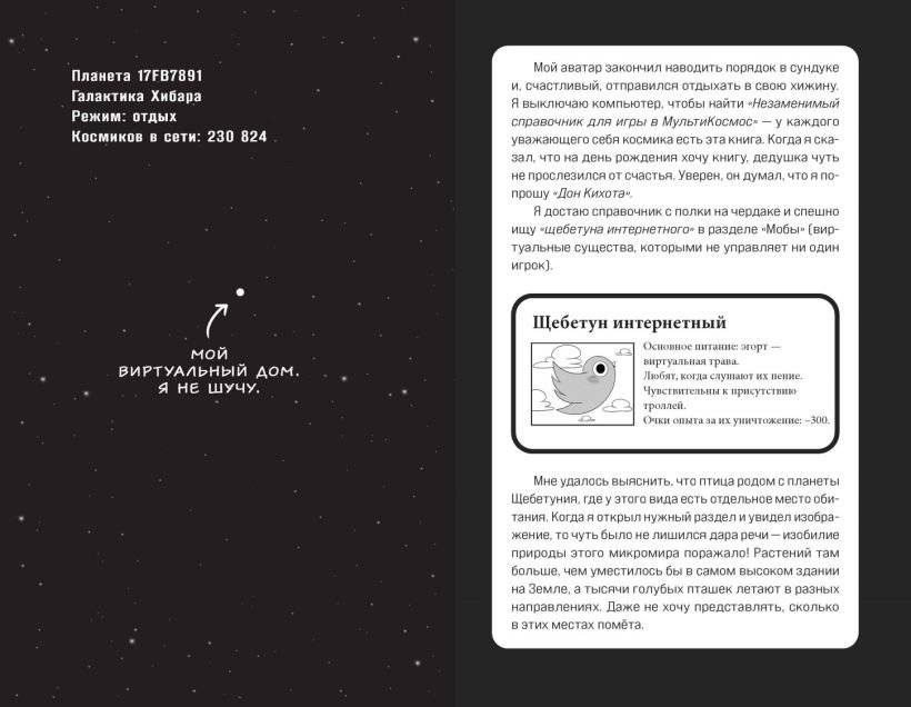 МультиКосмос. Книга 1. Виртуальные приключения с киркой и лопатой фото книги 4