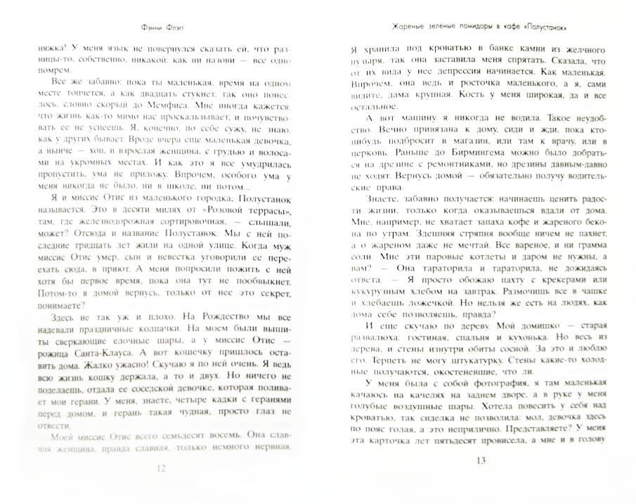 Жареные зеленые помидоры в кафе "Полустанок" фото книги 2