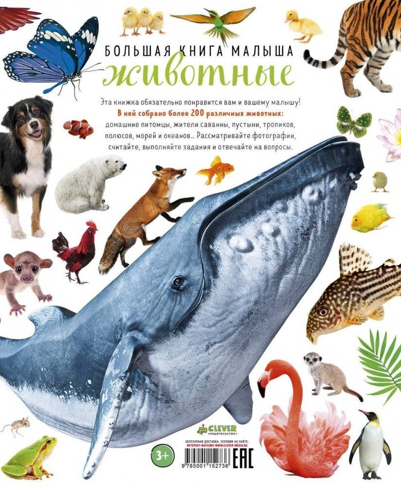 Большая книга малыша. Животные фото книги 6