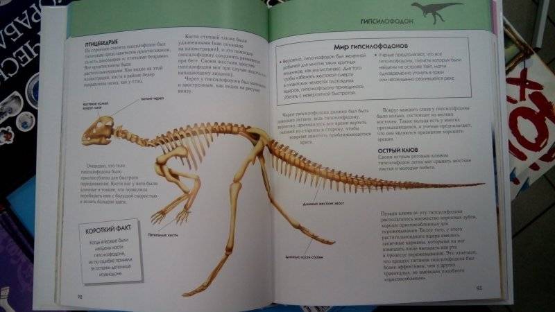 Динозавры. Полная энциклопедия фото книги 2