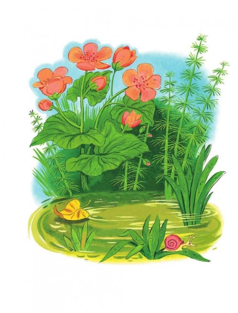 Все сказки К. Чуковского. Читают ребята из детского сада фото книги 5