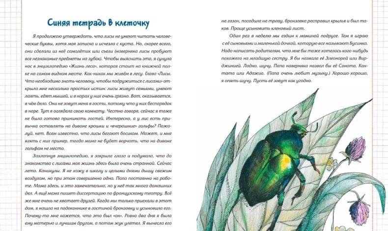 Мольер, Моцарт и Пикассо из лисьей норы фото книги 9