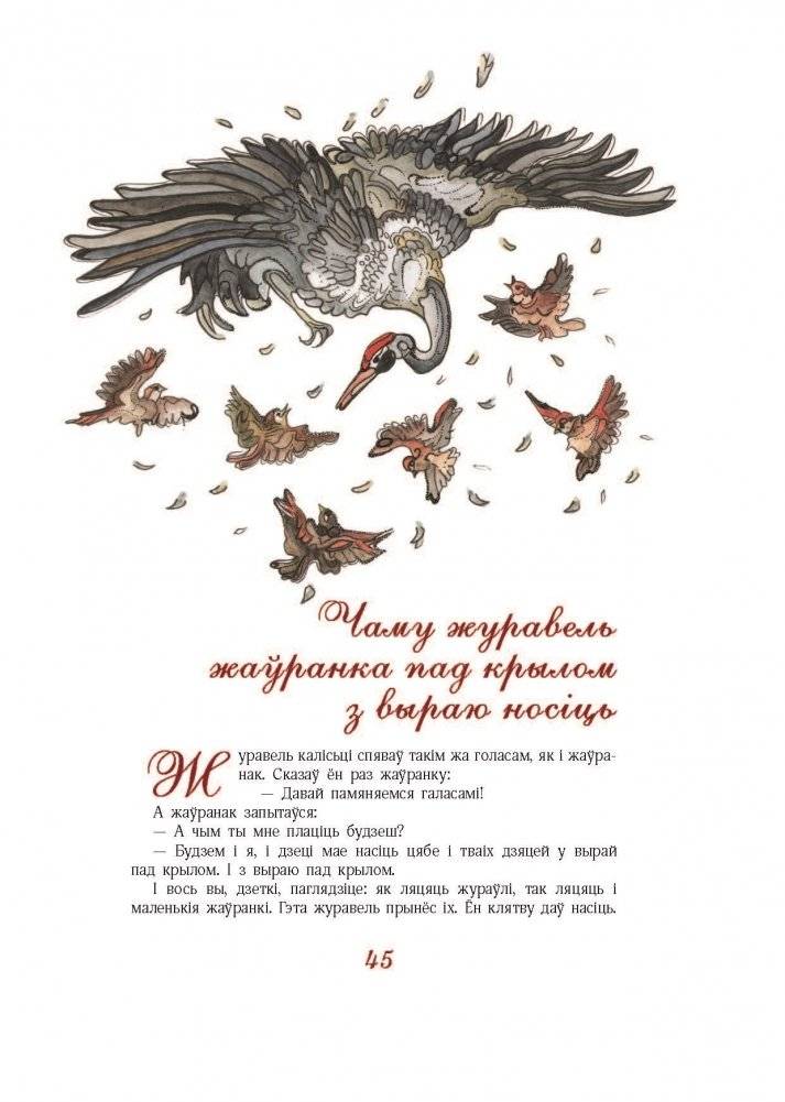 Адкуль пайшлі птушкі. Легенды пра птушак фото книги 11