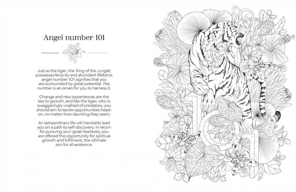 Angel Numbers Colouring фото книги 3