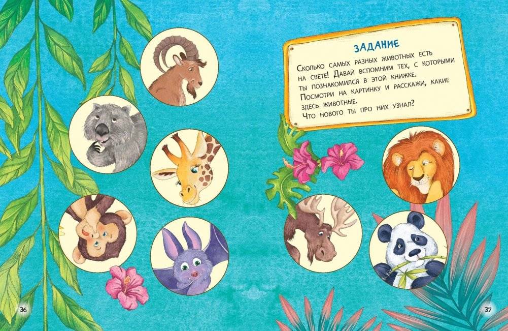 Расскажу вам о себе фото книги 6